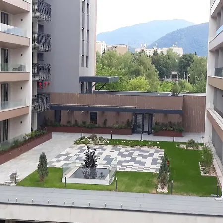 Sweet Butterflies * Brasov