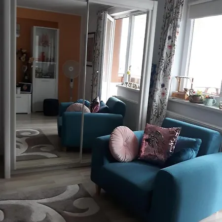 Sweet Butterflies Braşov