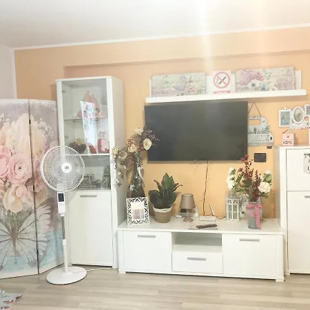 Apartment Sweet Butterflies *