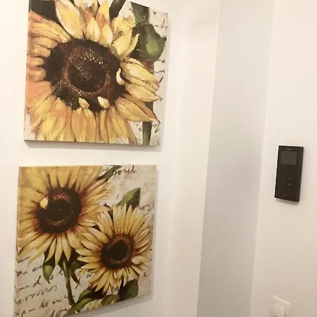 Apartment Sweet Butterflies *