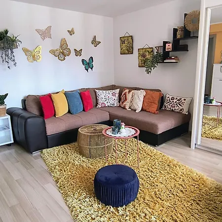 Apartment Sweet Butterflies