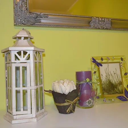 Sweet Butterflies Apartment