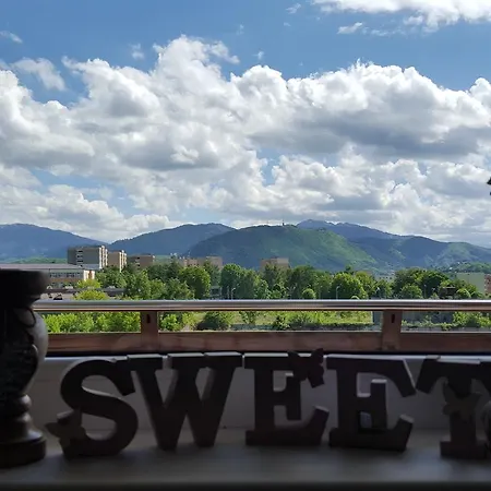 Sweet Butterflies Brasov