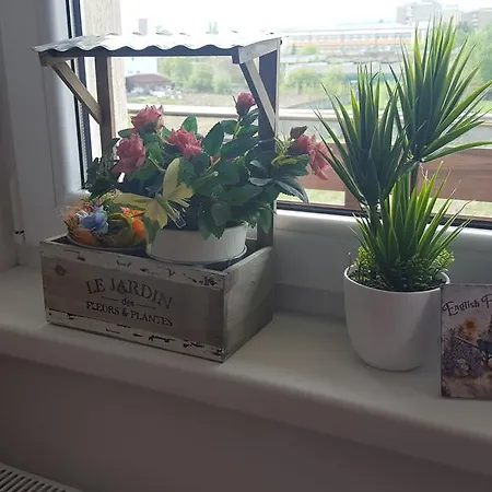 Sweet Butterflies Apartment *
