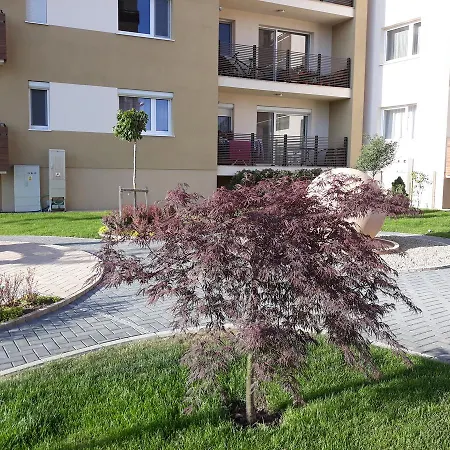 Sweet Butterflies Apartment Brasov