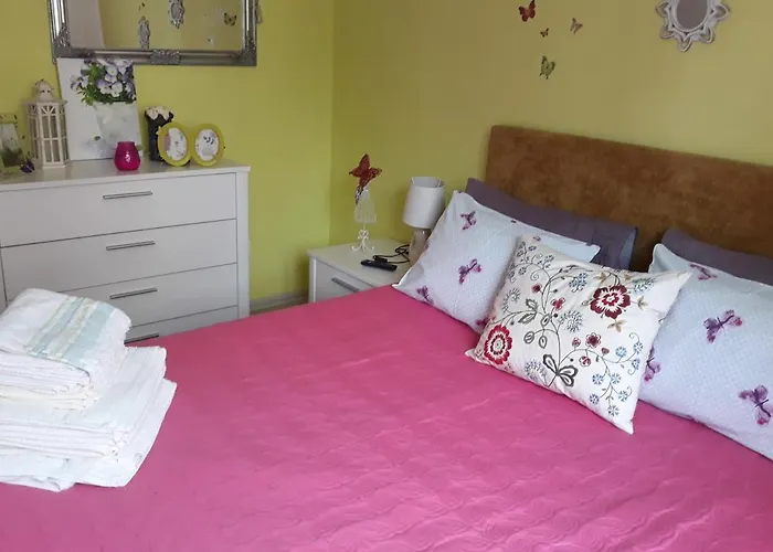 Sweet Butterflies Apartment Brasov