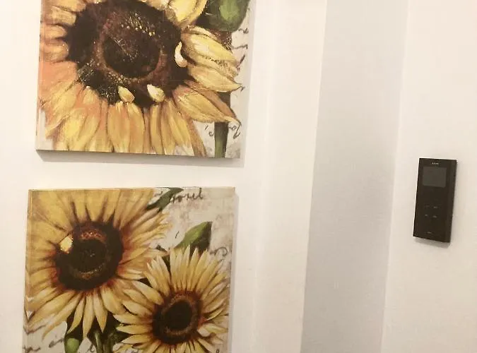 Apartment Sweet Butterflies *