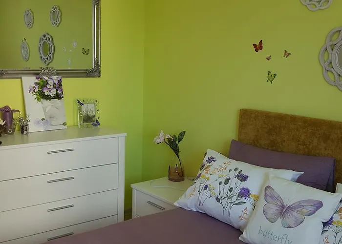 Sweet Butterflies Apartment Brasov