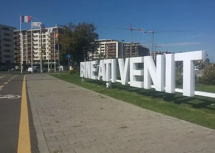 Sweet Butterflies * Brasov