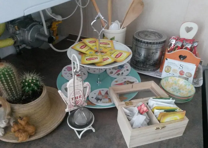 Sweet Butterflies Apartment Brasov