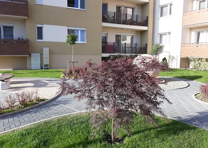 Sweet Butterflies Apartment Brasov