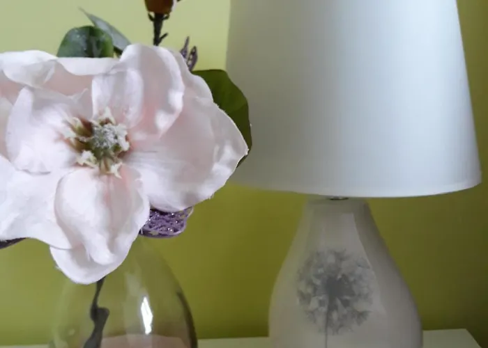 Apartment Sweet Butterflies *